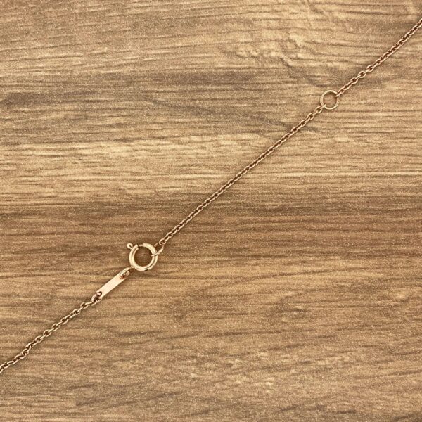 Gold chain necklace clasp on wood.