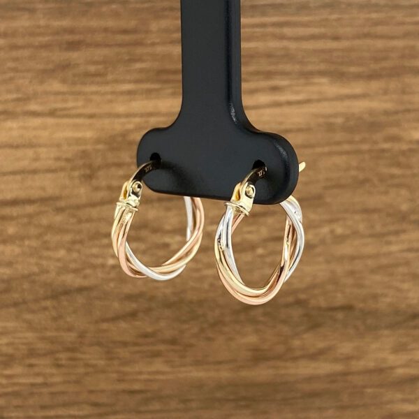 Tri-tone gold hoop earrings.